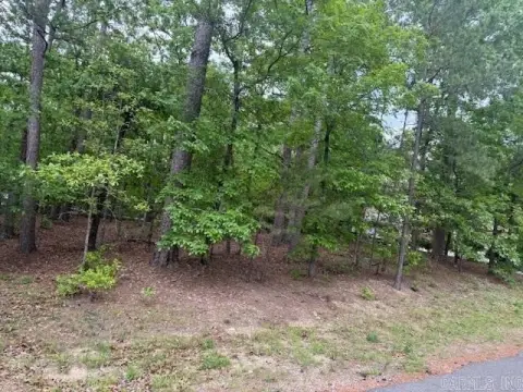 Residential Lot in Hot Springs