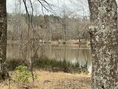 71 Acres Near Magnolia, Arkansas