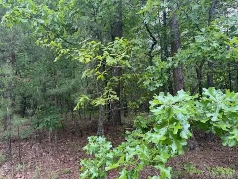 Residential Lot Near Golf Course