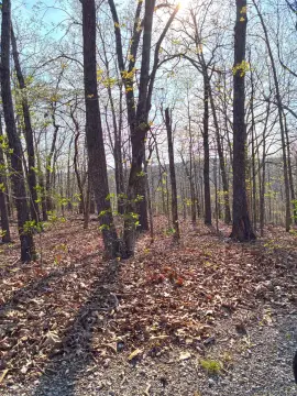 Residential Lot in Cherokee Village
