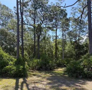 3.35 Acres in Ocklawaha, FL