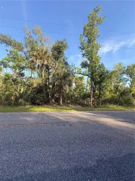 Ozello Homesite in Crystal River