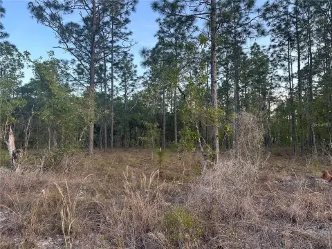 Wooded Lot in Growing Location