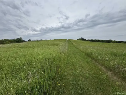 Vulcan, MI Vacant Land