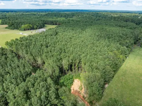 Secluded Wooded Land in Petal