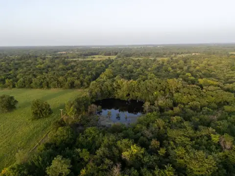 Recreational Timberland with Pond