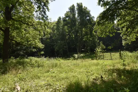 Wooded Acres Backing State Forestry