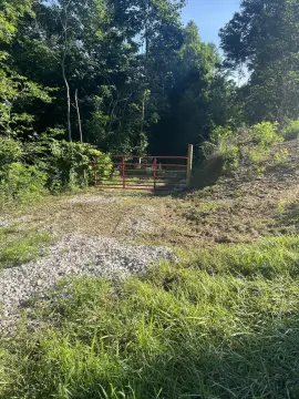 Unrestricted Timber Hunting Land