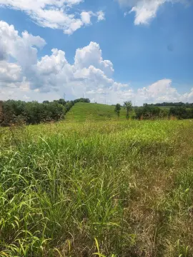 Agricultural Land Parcel