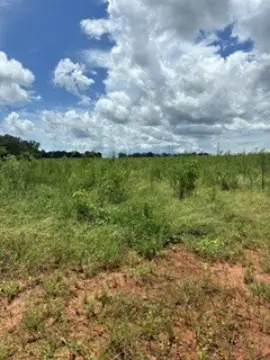 44-Acre Agricultural Land Tract