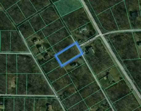 Wooded Vacant Lot in R1 Area