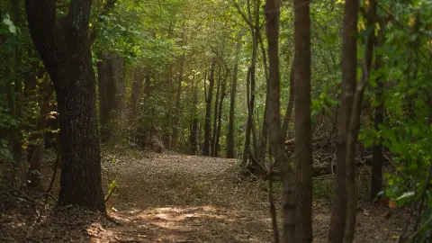 Hunting Land with Pond