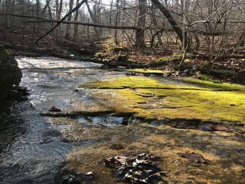 Hunting Land with Ozark Stream