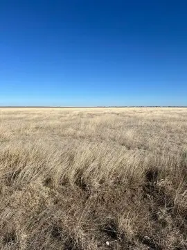 Dumas, TX Land Opportunity