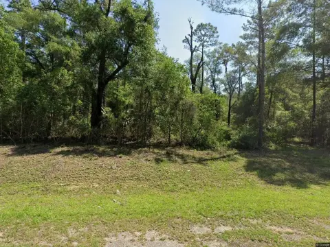 Land in Growing Dunnellon Area