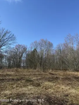 Land in Spring Brook Township