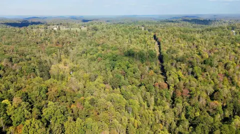 Unrestricted Land Near Lake Cumberland