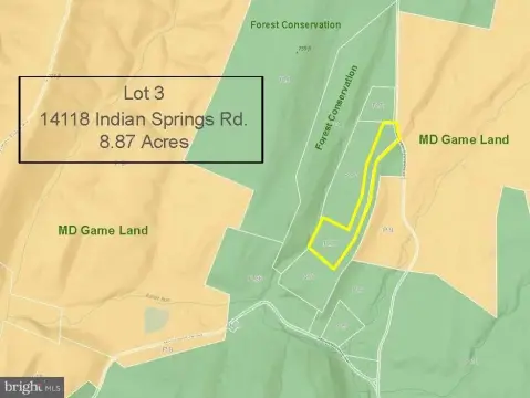 Wooded Buildable Recreation Lot