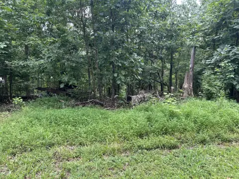 Wooded Lake-Area Land Lots