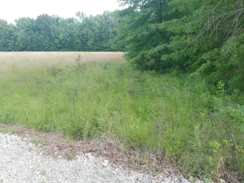 Two-Tract Hunting Land