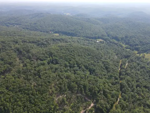 Hunting and Recreation Land Tract