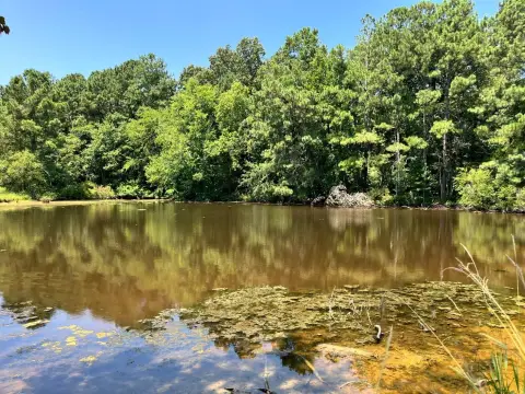 Wooded Farmland With Pond