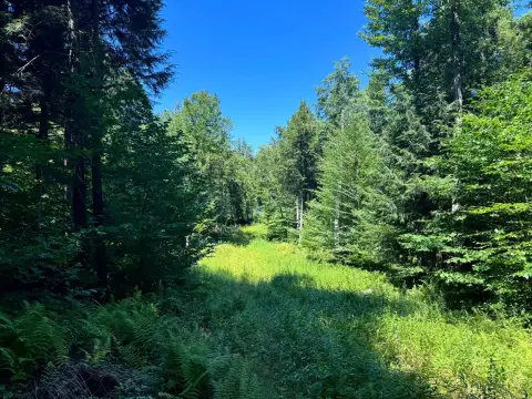 Streamfront Recreation Land