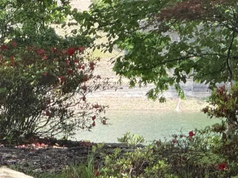 Residential Lot in Hot Springs