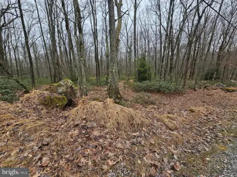 Recreational Land Lot