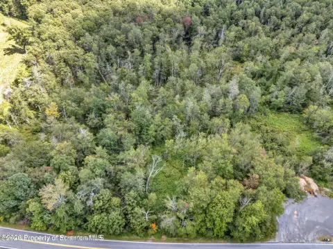 Land in Spring Brook Township