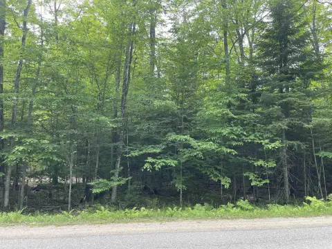 Manistique Vacant Land Opportunity