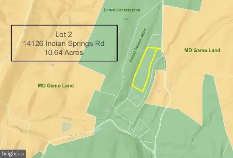 Wooded Hunting and Recreation Land