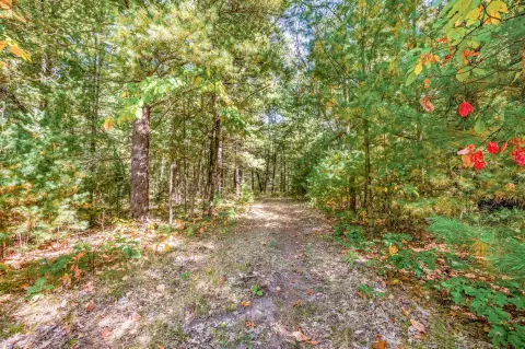 Hunting Land with Trail Network