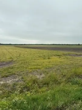 38.9 Acres on Highway 77