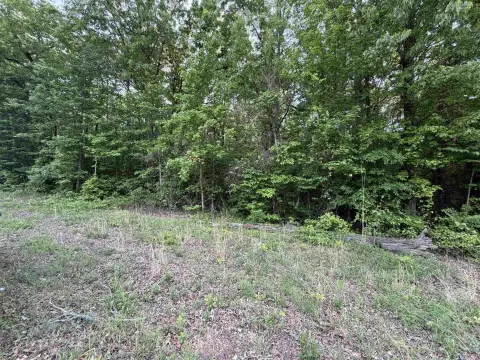 Vilonia Wooded Acreage Opportunity
