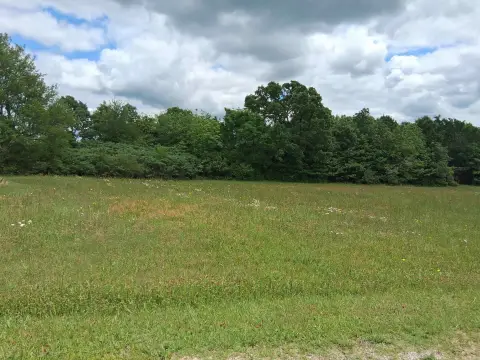 Commercial Land with Storage Building
