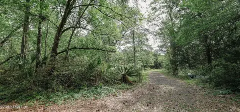 Jacksonville Land with Mature Trees