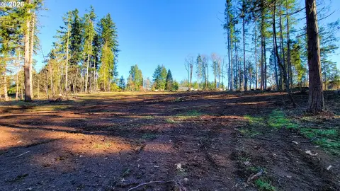 Buildable Land Near Dexter Reservoir