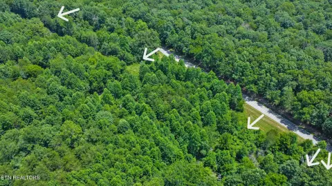 21.64 Acres in Crossville, TN