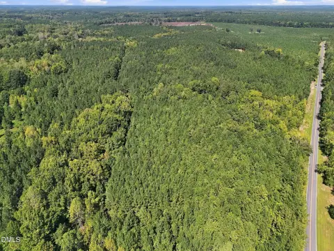 Wooded Land
