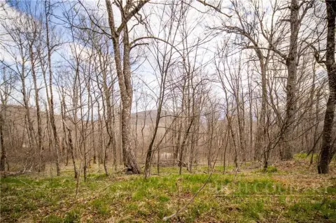 Vacant Lot in Gated Community