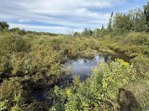 Creekside Hunting Land