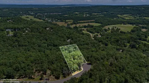 Wooded Lot with Future Views
