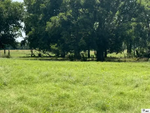 Agricultural Land Pasture Tract