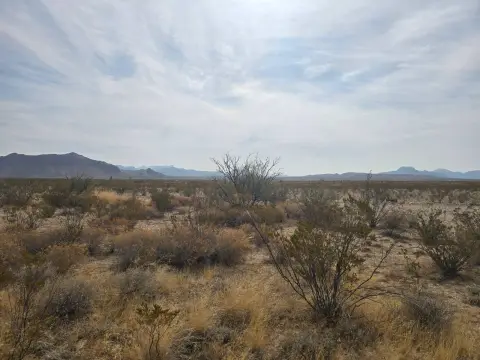 Hunting Land with Dark Skies