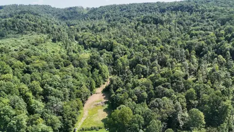 Hunting Land with Trails