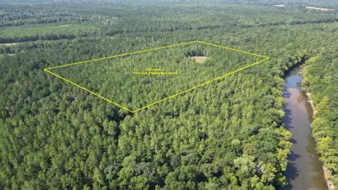 Wooded Hunting Land