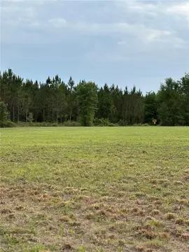 Cleared Land Parcel in Lake City