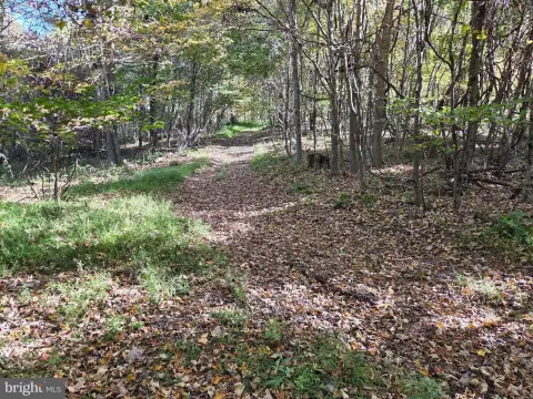 Wooded Hunting Land
