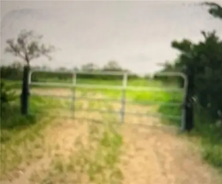 Premont, Texas Hunting Land